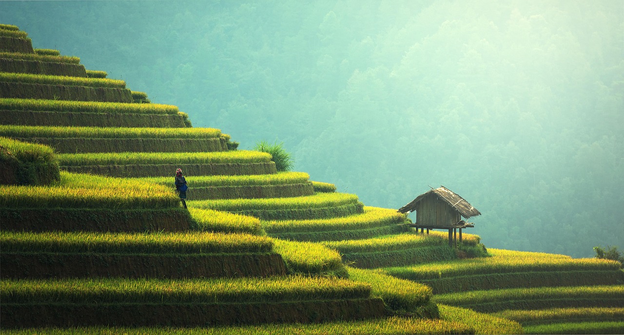 Planète Asie – Voyage, Culture et Inspirations Asiatiques