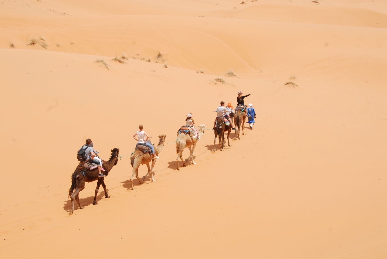 Un groupe de touristes traverse le magnifique désert du Sahara à dos de chameau, sous le soleil de midi.